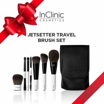 Jetsetter travel brush set